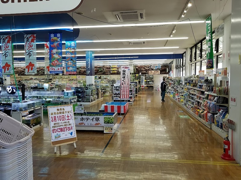 ジョイフル本田 ペットワールド 守谷店 茨城県守谷市松ケ丘 ペットショップ グルコミ