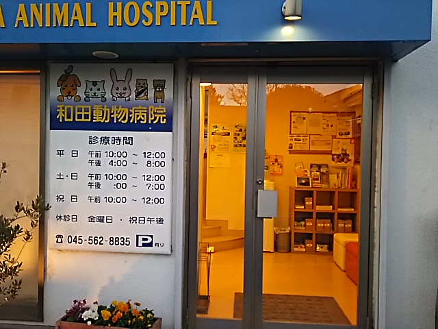 和田動物病院