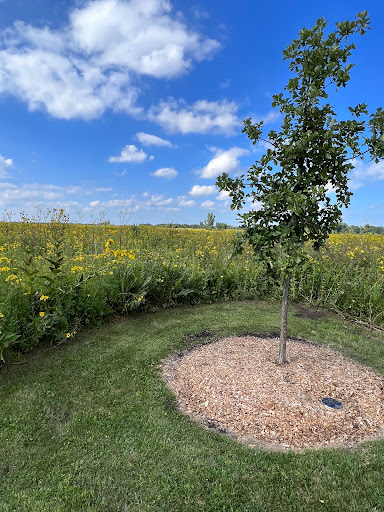 Nature Preserve «Rollins Savanna Forest Preserve», reviews and photos, 20160 W Washington St, Grayslake, IL 60030, USA