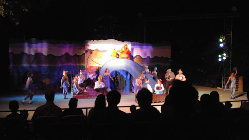 Performing Arts Theater «Emilyann Theatre», reviews and photos, 1101 Ranch Rd 2325, Wimberley, TX 78676, USA