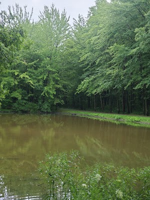 Bradley Nature Park - photo 72
