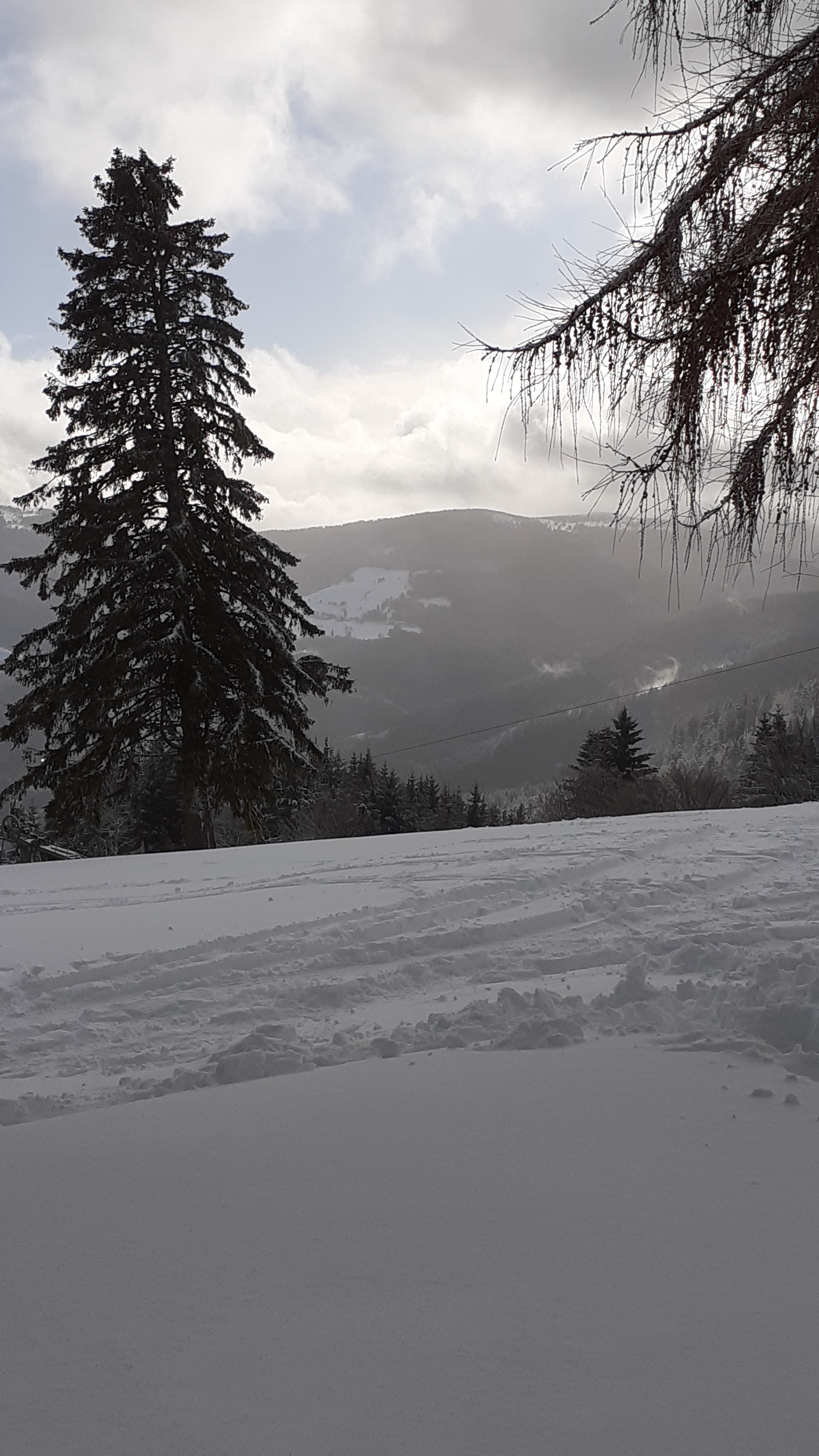 Photo n° 2 de l'avis de Hélène.e fait le 10/01/2022 à 14:07