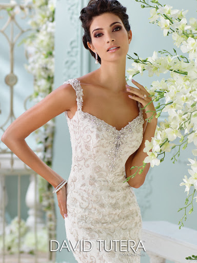 Bridal Shop «Amour Bridal», reviews and photos, 601 E Whitestone Blvd #408, Cedar Park, TX 78613, USA