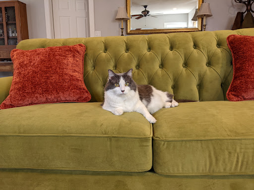 Furniture Store «J&D Furniture», reviews and photos, 986 S Delsea Dr, Vineland, NJ 08360, USA