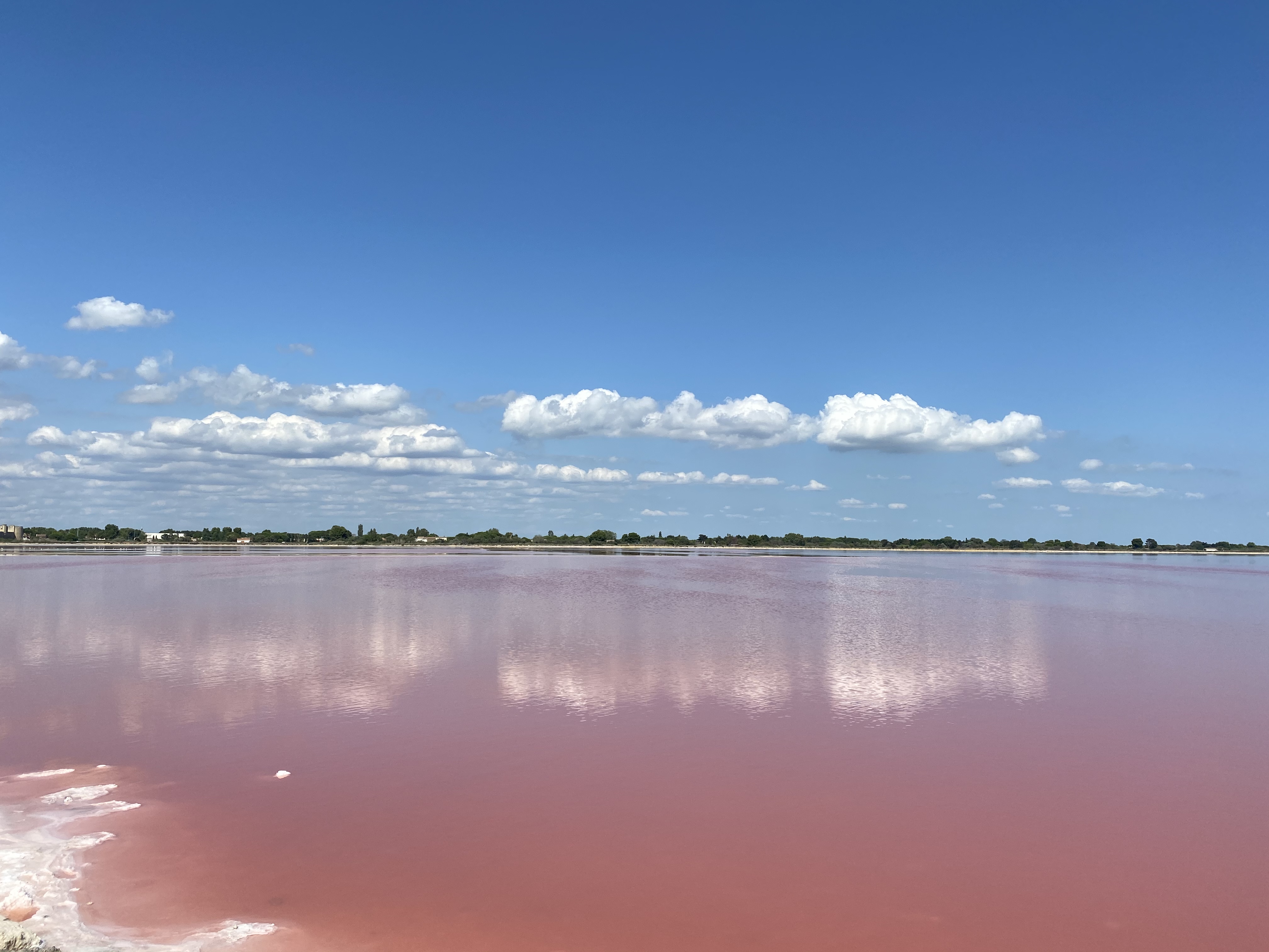 Photo n° 5 de l'avis de Yaojie.h fait le 28/07/2021 à 16:54