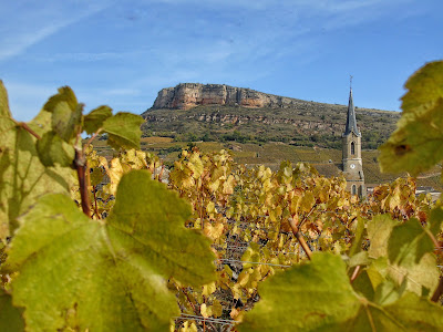 Domaine Gilles Guerrin à Vergisson