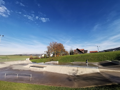 Skatepark Oberfeld, Root