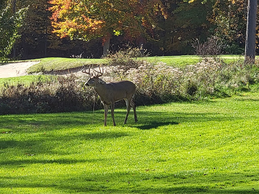 Golf Course «StoneWater Golf Club», reviews and photos, 1 Club Dr, Highland Heights, OH 44143, USA