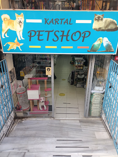 Kartal Petshop | Avcılar İstanbul - Evcil hayvan mağazası