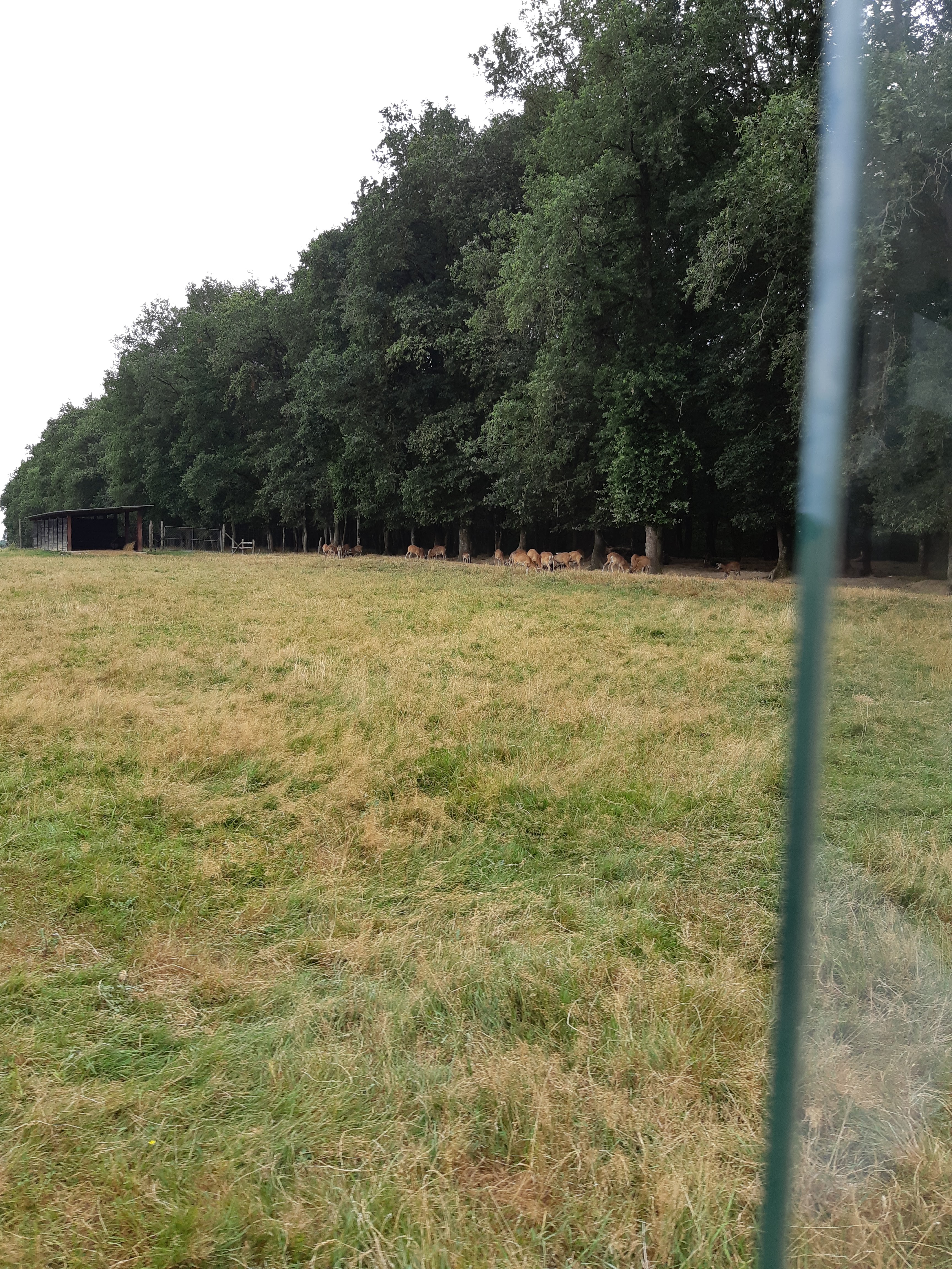 Photo n° 22 de l'avis de Carla.a fait le 10/08/2018 à 15:54