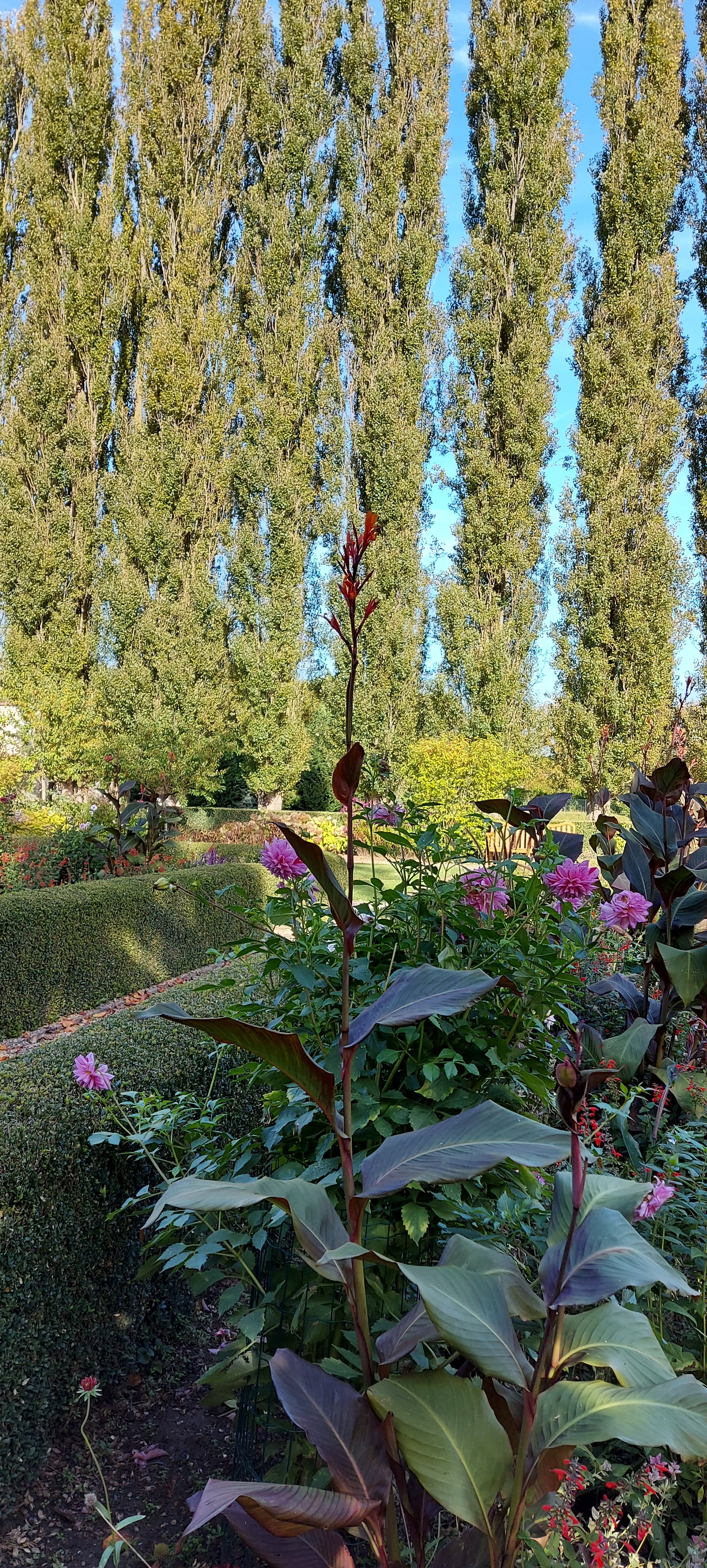 Photo n° 1 de l'avis de vasseur.i fait le 07/10/2021 à 15:03