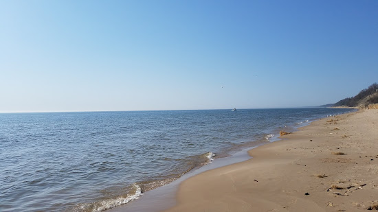 Buchanan Beach