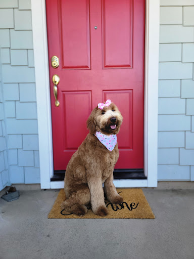 Muddy Paws Grooming -Oakley