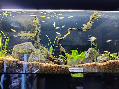Aquagold aquarium