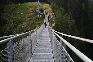 Hängebrücke Bärenfalle image