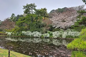 Honmoku Shimin Park image