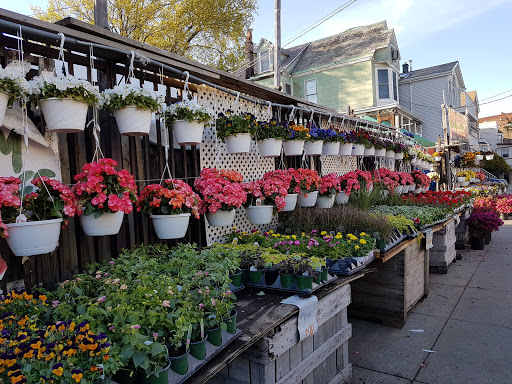 Produce Market «Hudson Farmers Market», reviews and photos, 3437 John F. Kennedy Blvd, Jersey City, NJ 07307, USA