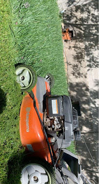 R&R Tree Trimming & Grounds Maintenance - Photo 3 - Car repair in , Rio Rancho