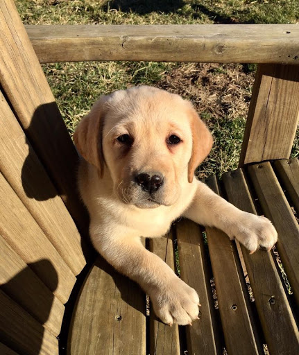 Funeral Home «G H Herrmann Funeral Homes», reviews and photos, 5141 Madison Ave, Indianapolis, IN 46227, USA