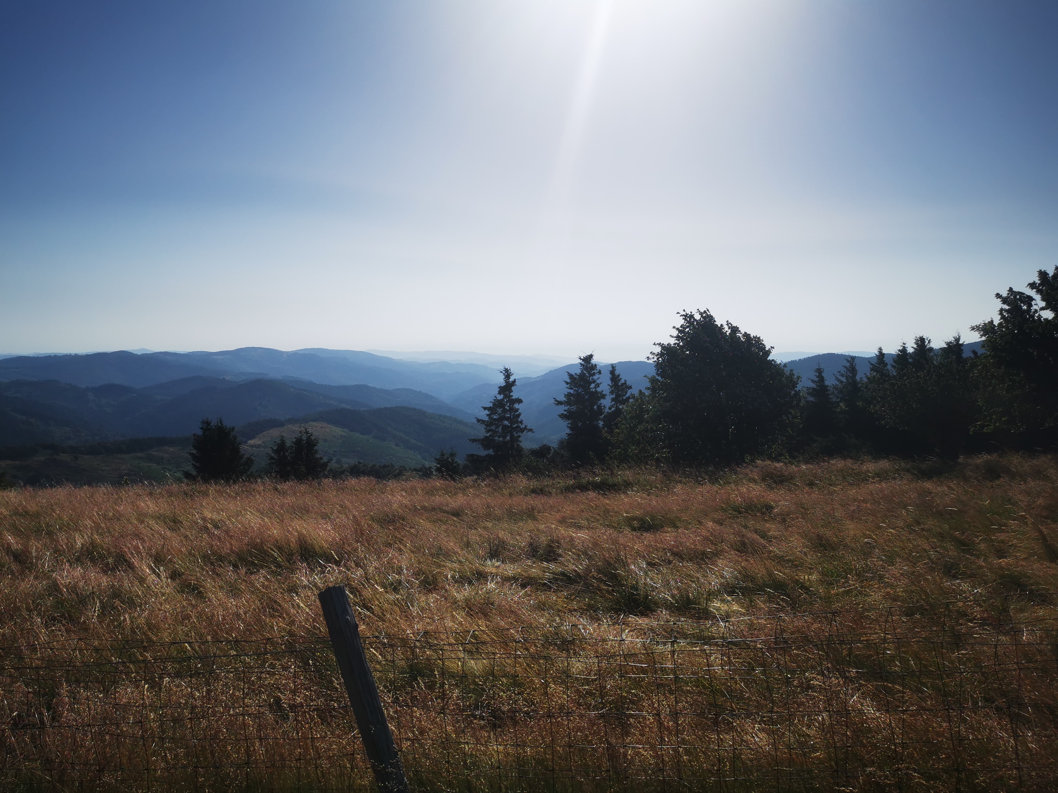 Photo n° 48 de l'avis de Seb. fait le 14/07/2023 à 04:55