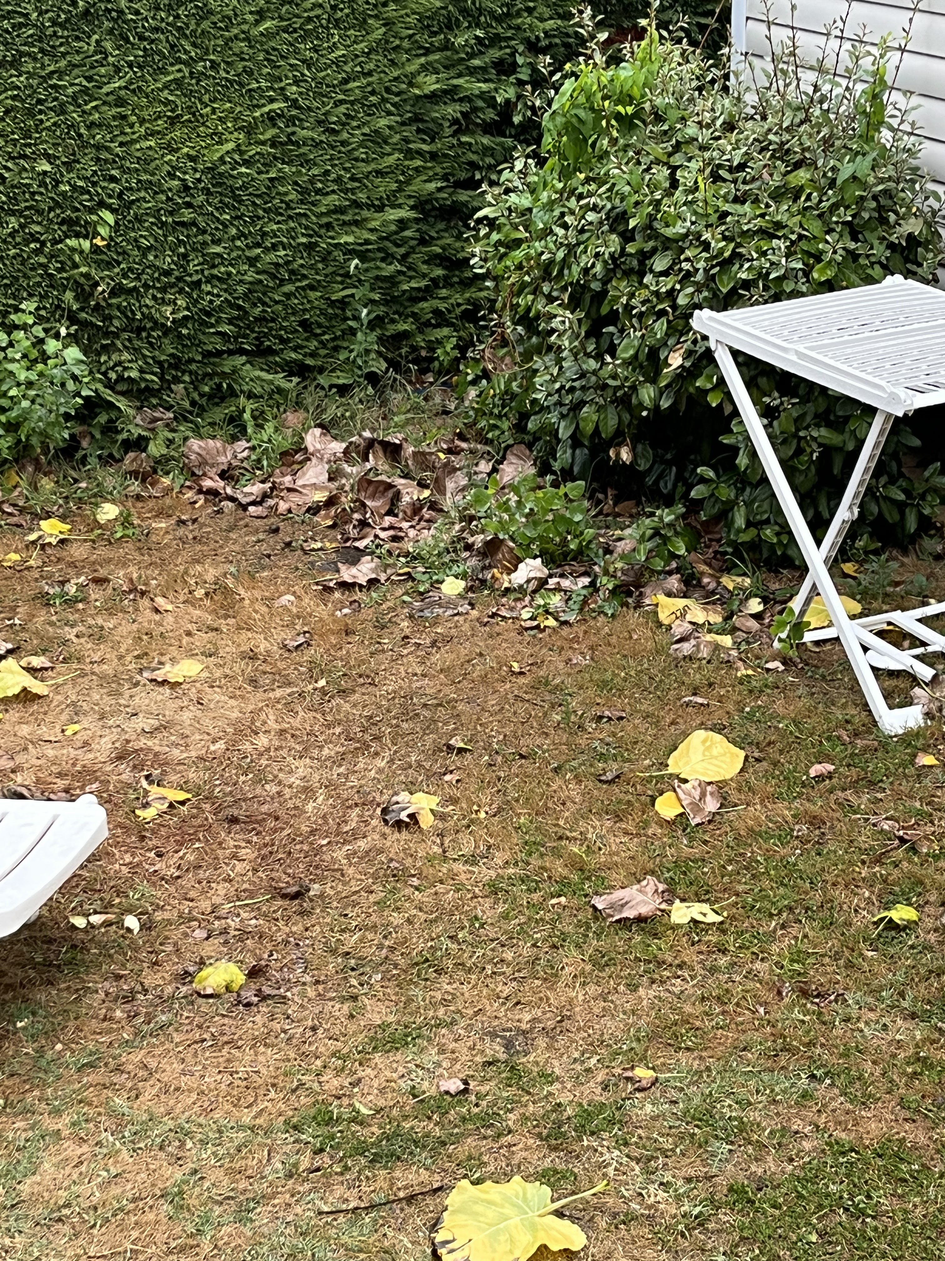 Photo n° 3 de l'avis de Kevin.a fait le 28/08/2022 à 19:47