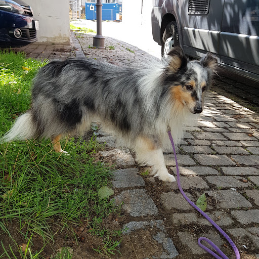 Tierärztin Petra Müller unter Pommelsbrunn, Bayern