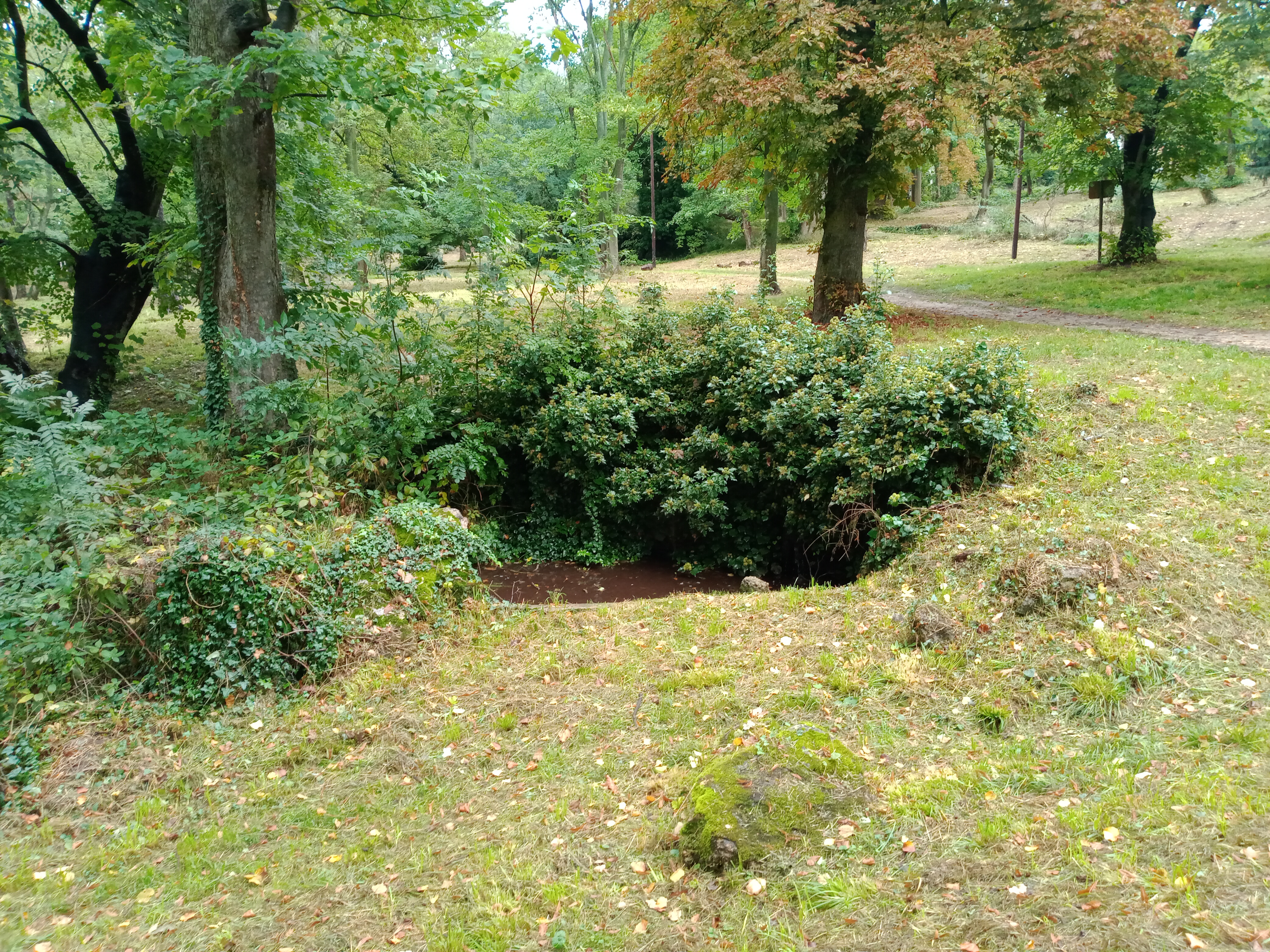 Photo n° 3 de l'avis de Kurtis.o fait le 01/11/2021 à 18:06