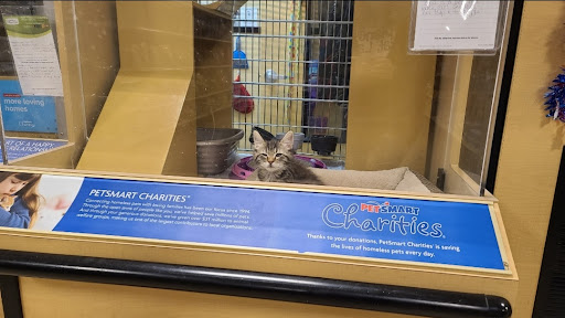 Pet Supply Store «PetSmart», reviews and photos, 5857 NJ-42, Turnersville, NJ 08012, USA