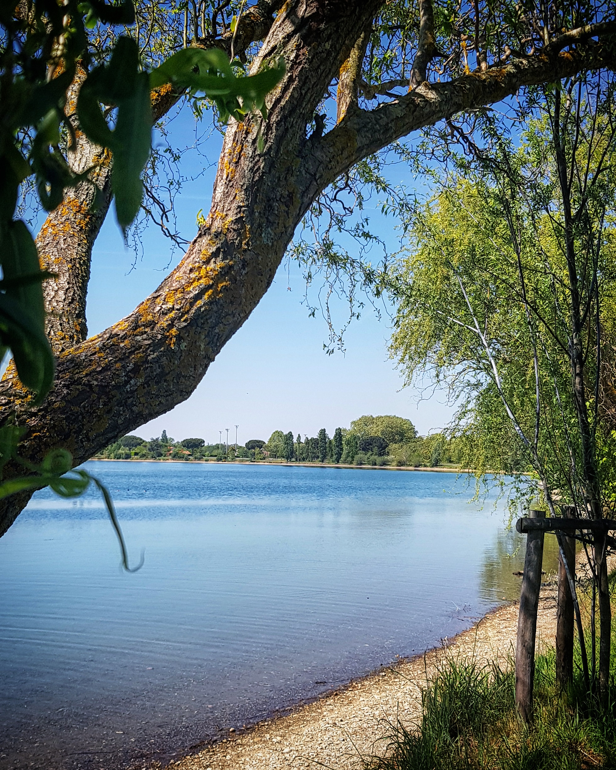 Photo n° 3 de l'avis de Sandrine. fait le 25/05/2019 à 16:36