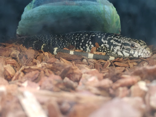 Pet Supply Store «Petco Animal Supplies», reviews and photos, 195 E 12300 S, Draper, UT 84020, USA