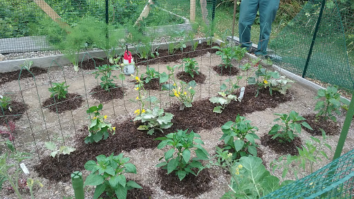 Live Music Venue «Sandywoods Center for the Arts», reviews and photos, 43 Muse Way, Tiverton, RI 02878, USA