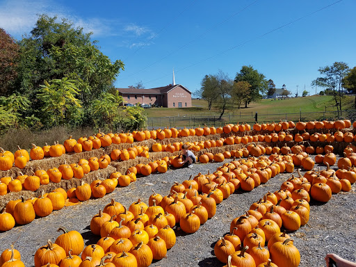 Supermarket «Spring Valley Farm Corner Market», reviews and photos, 22580 Northwestern Turnpike, Romney, WV 26757, USA