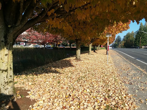 Federal Credit Union «BECU», reviews and photos