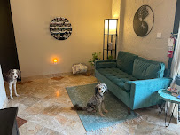 Vibrant Wellness - Photo 2 - Car repair in Phoenix, AZ, Glendale