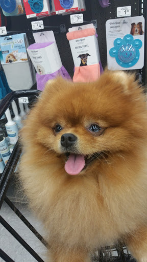 Pet Supply Store «Petco Animal Supplies», reviews and photos, 2895 Gulf Fwy S, League City, TX 77573, USA