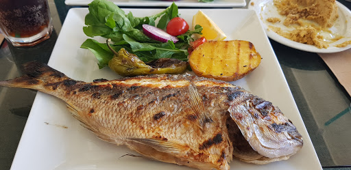 Turgutreis Balık Marmaris