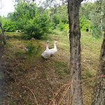 Photo n°6 de l'avis de Milton.a fait le 14/06/2020 à 19:30 sur le  La Fattoria di Ema à Montefranco