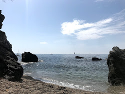Foto von Plage de la B. Basse wilde gegend