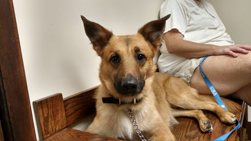 Metz Petz Veterinary Clinic Ada image