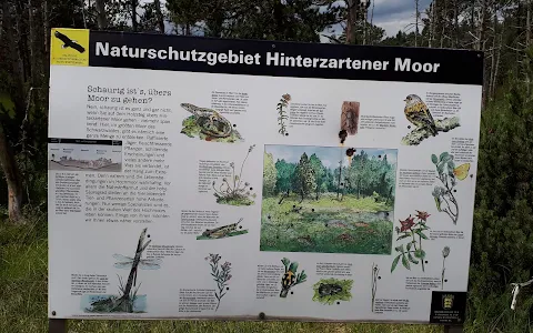 Hinterzartener Moor image