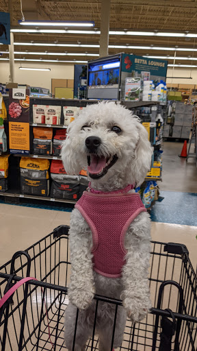 Pet Supply Store «Petco Animal Supplies», reviews and photos, 10315 E Shelby Dr, Collierville, TN 38017, USA