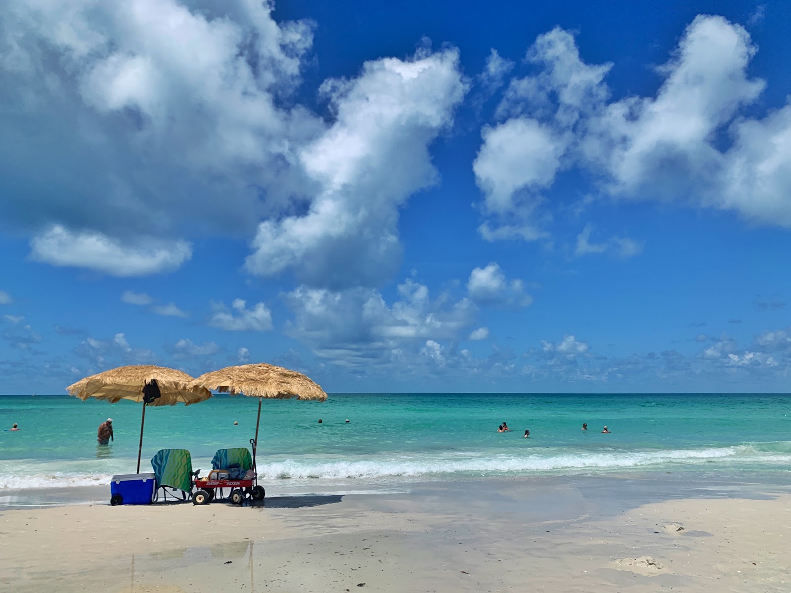 Siesta Key beach'in fotoğrafı çok temiz temizlik seviyesi ile