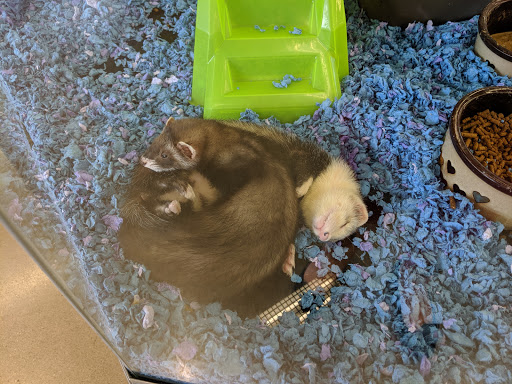 Pet Supply Store «Petco Animal Supplies», reviews and photos, 233 S Stewart Rd, Liberty, MO 64068, USA