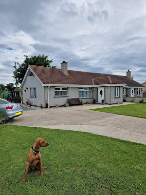 Tatty Tails pet grooming