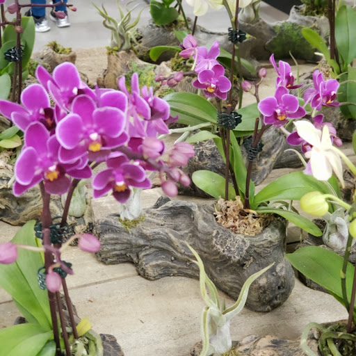 Home Improvement Store «The Home Depot», reviews and photos, 1590 W 49th St, Hialeah, FL 33012, USA