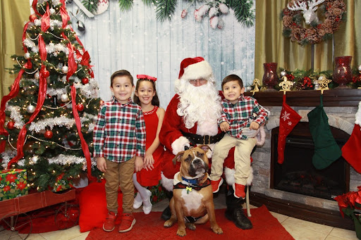 Pet Supply Store «The Hungry Puppy», reviews and photos, 1288 NJ-33, Farmingdale, NJ 07727, USA