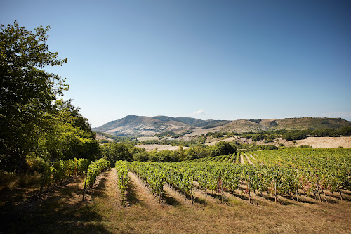 Caveau Louis Latour Ardèche à Alba-la-Romaine