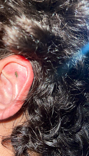 Explore sonic the hedgehog tattoo ideas, creative tattoo ideas in Danbury, available at Tribu