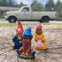 Little Gnome Lawns, LLC - Photo 2 - Car repair in , Bellingham