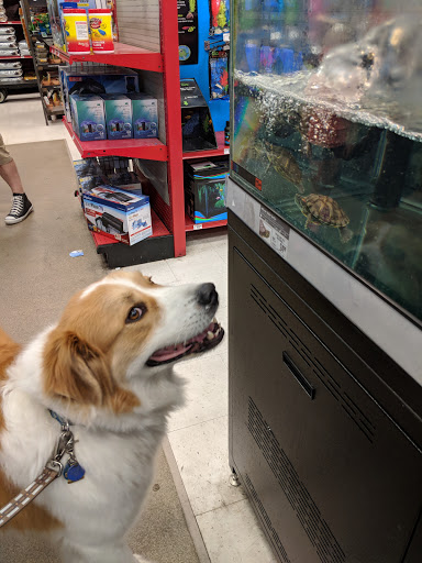 Pet Supply Store «Petco Animal Supplies», reviews and photos, 3012 Bridgepointe Pkwy, San Mateo, CA 94404, USA